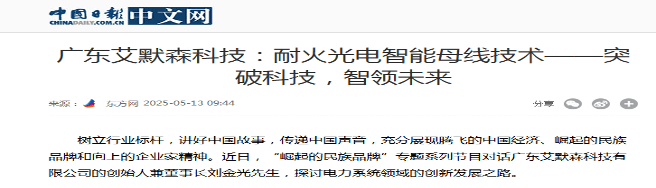 中国日报报道艾默森